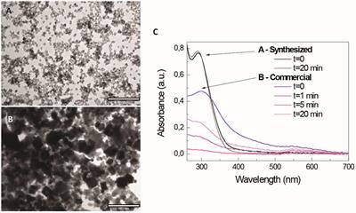 Intrinsic and Extrinsic Properties Affecting Innate Immune Responses to Nanoparticles: The Case of Cerium Oxide